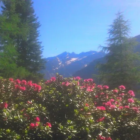 Simiterhof Апартаменты *