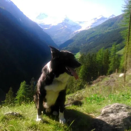 Lägenhet Simiterhof *