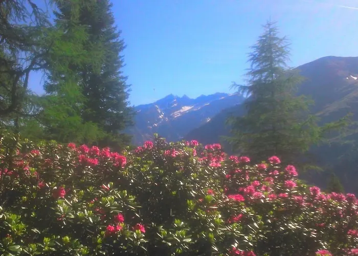 Simiterhof Apartamento *