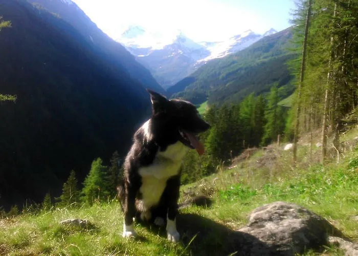 Apartamento Simiterhof *