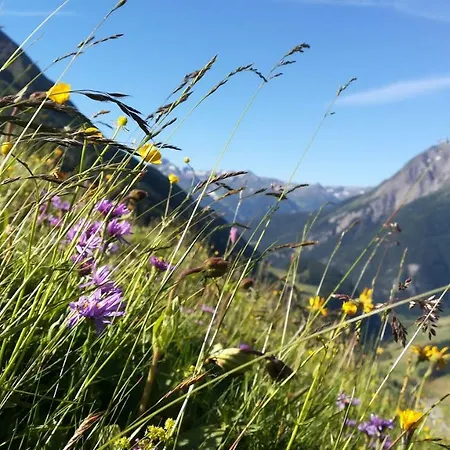 Simiterhof Appartement Matrei in Osttirol