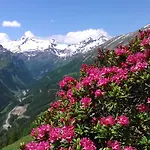 Lägenhet Simiterhof Matrei in Osttirol